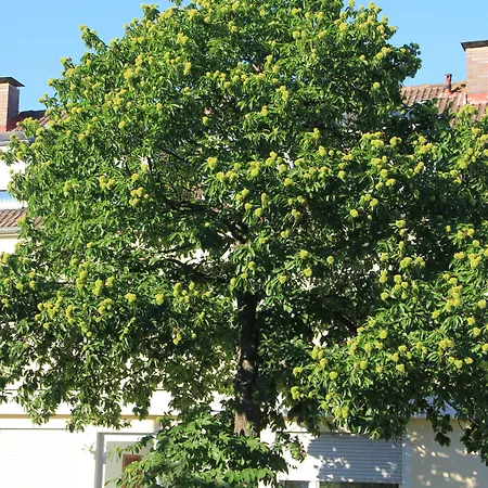 Hotel Westend Nuremberga