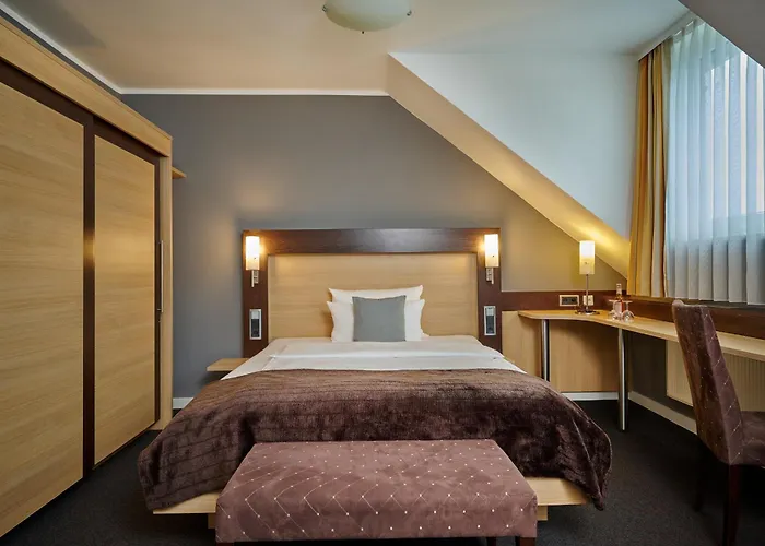 酒店 威斯安德酒店 3*